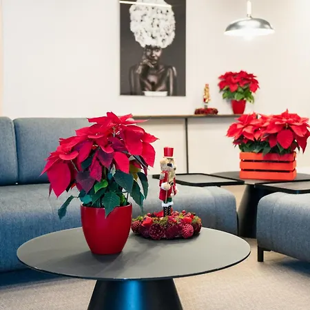 Dorm4you Arena 2 Valencia